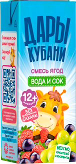 Напиток сокосодержащий из смеси ягод «Вода и Сок», 200 мл